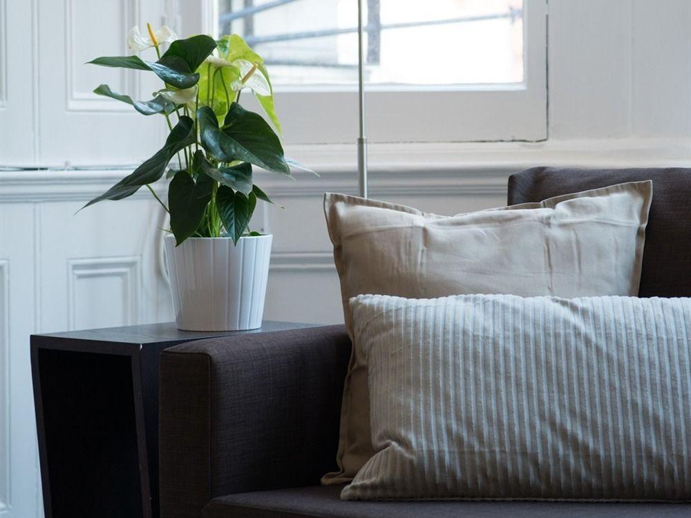 Luxton Apartments - Knightsbridge Λονδίνο Εξωτερικό φωτογραφία